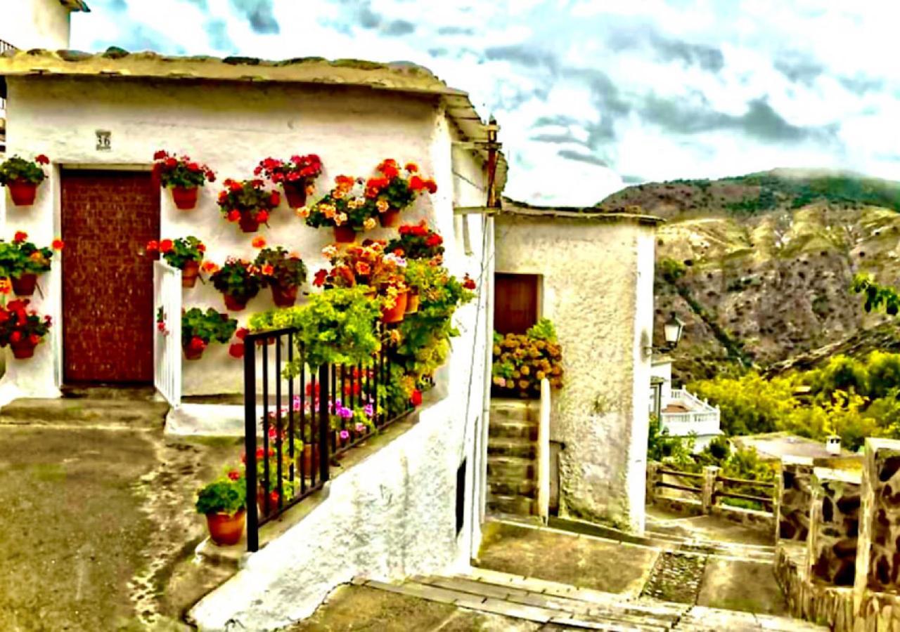 Appartement Casa En *
